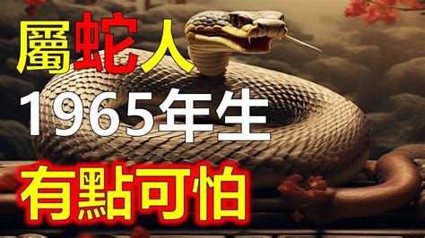 1965屬蛇|【1965年屬蛇】1965年屬蛇人2023~2024 運勢全解密